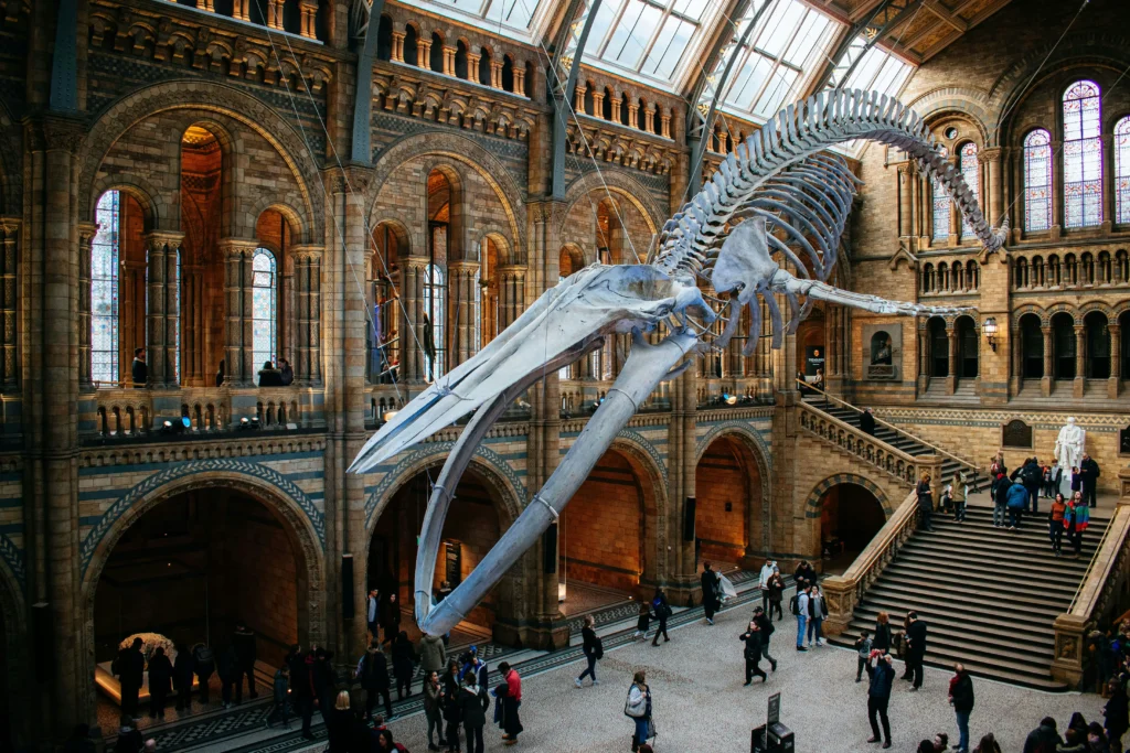 musee histoire naturelle londres kensington